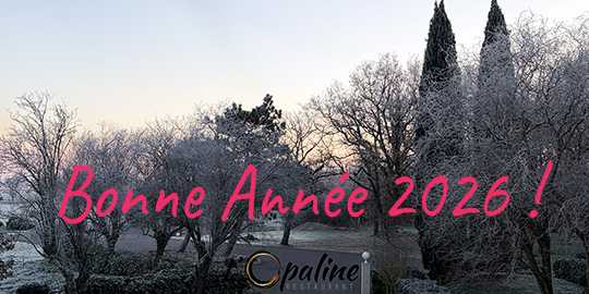 Lire la suite à propos de l’article Bonne Année 2026 !